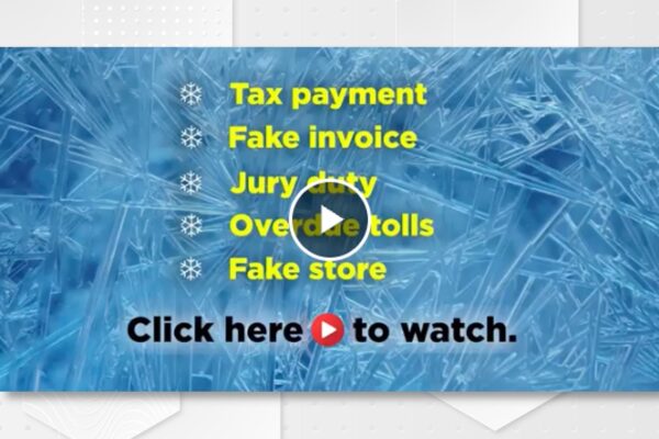 Video preview features contents of what viewers will learn about