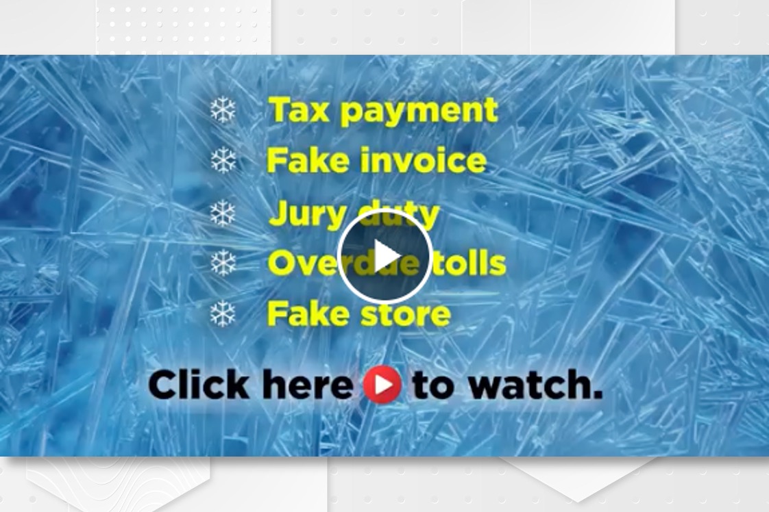 Video preview features contents of what viewers will learn about