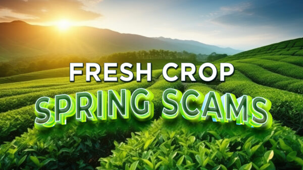 Fresh Crop of Scams